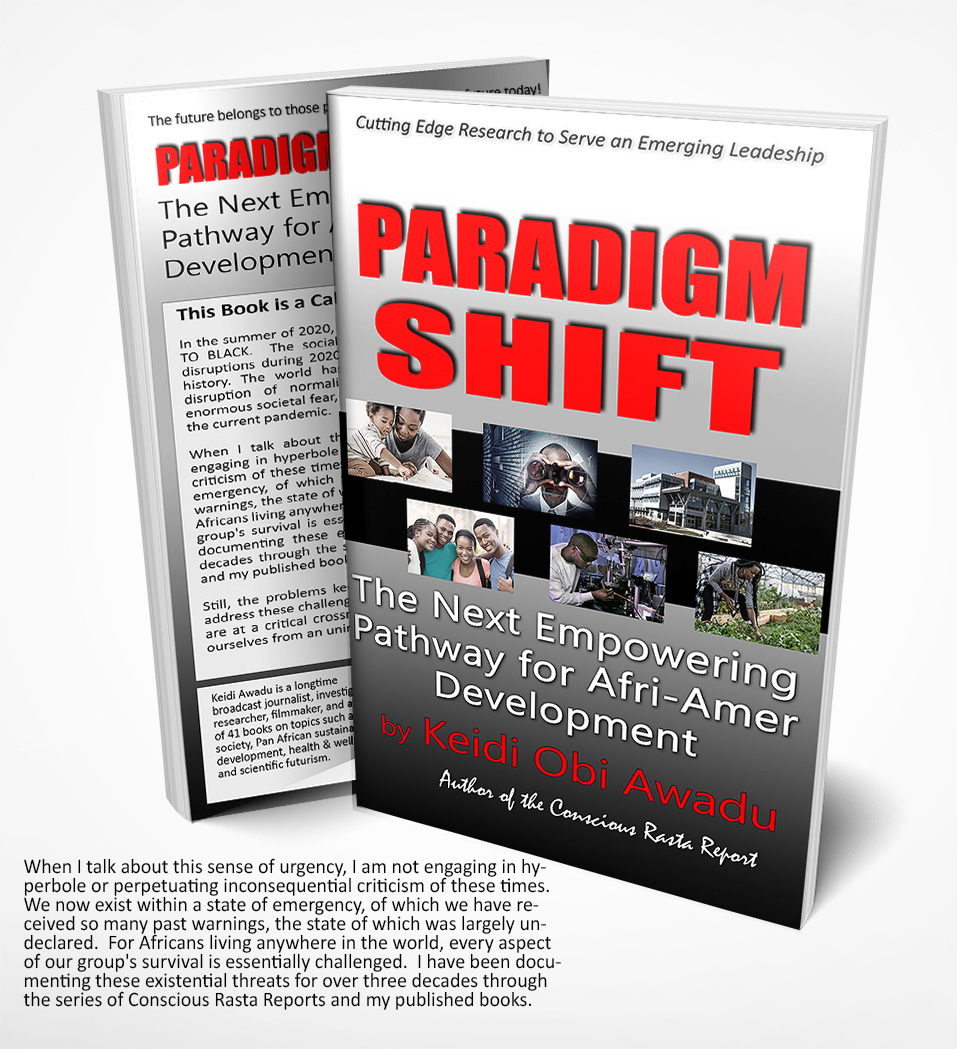 Paradigm Shift Book

