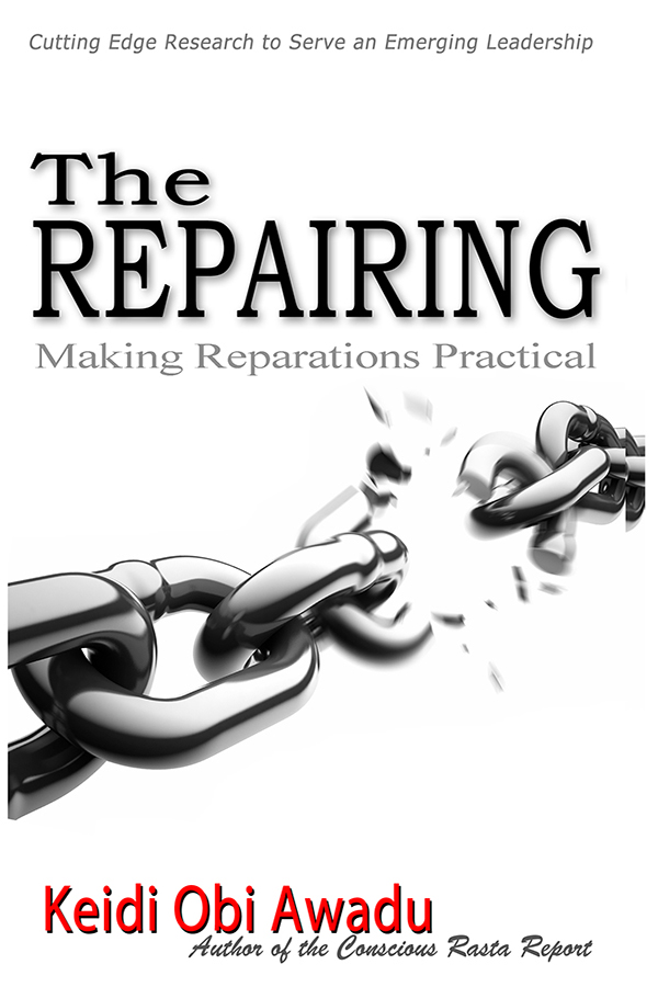 The Repairing Book Cover